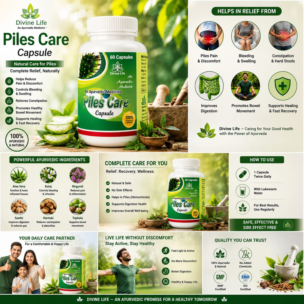 Piles Care Capsules – Ayurvedic Support for Piles Relief & Digestive Health (60 Capsules)